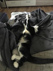 2018-12-30 08.43.34.jpg