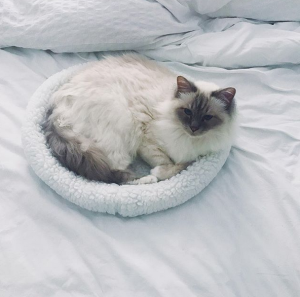 Bildschirmfoto 2019-01-08 um 15.18.15.png