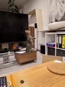 IMG_20190104_182407.jpg IMG_20190104_182407.jpg