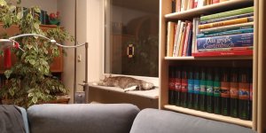 IMG-20190102-WA0005.jpg IMG-20190102-WA0005.jpg