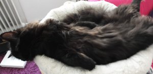 WhatsApp Image 2019-01-14 at 13.31.55.jpeg