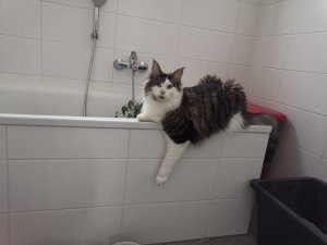 WhatsApp Image 2019-01-20 at 15.11.25.jpeg