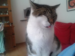 2014-05-10 12.48.01.jpg