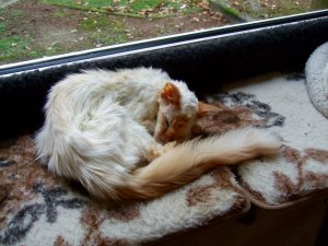 DSCF0177.jpg DSCF0177.jpg