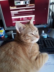 20180227_111635 (1).jpg