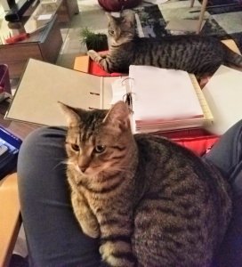 Point Blur_Jan262019_183338.jpg