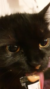 WhatsApp Image 2019-02-02 at 22.39.57.jpeg