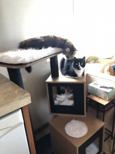 IMG_1304.JPG IMG_1304.JPG