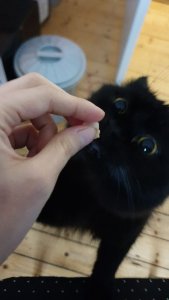 WhatsApp Image 2019-02-05 at 13.04.40.jpeg