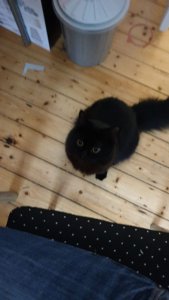 WhatsApp Image 2019-02-05 at 13.05.15.jpeg