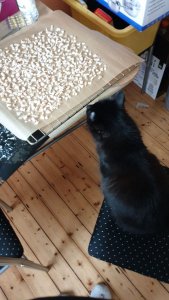 WhatsApp Image 2019-02-05 at 13.13.44.jpeg