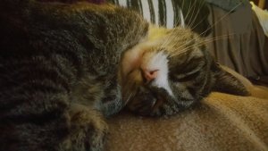 2016-09-30 22.12.20.jpg