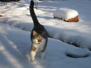 Kamera bis 04.02 069.JPG