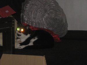 Kamera bis 04.02 023.JPG