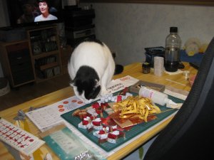 Kamera bis 04.02 006.JPG