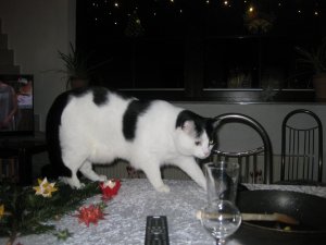 Kamera bis 04.02 032.JPG