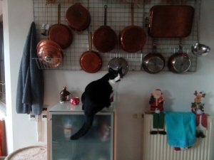 Handy bis 04.05 044.jpg