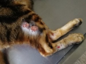 IMG_20181029_150052.jpg IMG_20181029_150052.jpg