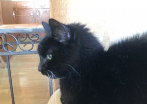 IMG_7603.JPG IMG_7603.JPG