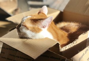 IMG_8623.jpg IMG_8623.jpg