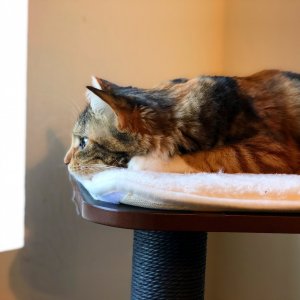 IMG_0134.JPG IMG_0134.JPG