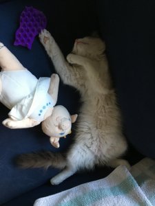 Jon müde gespielt.jpg