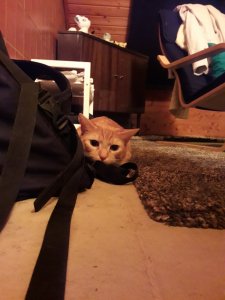 20180131_000105 (1).jpg