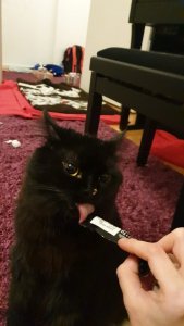 WhatsApp Image 2019-02-22 at 22.20.46 (1).jpeg