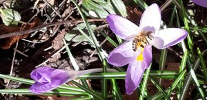 2019-02-24 11.14.45.jpg