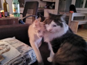 photo_2019-02-27_21-13-57 (2).jpg