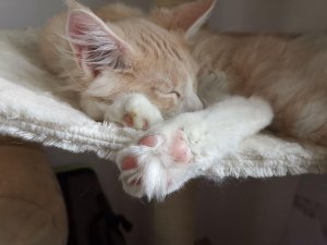 photo_2019-03-01_20-52-13 (2).jpg