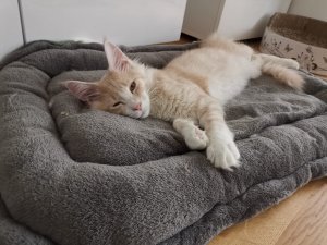 WhatsApp Image 2019-03-07 at 14.07.55.jpeg