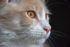 Monti_March (86).png