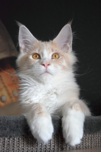 Monti_March (63).png