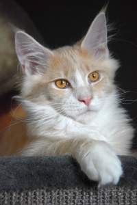 Monti_March (93).png