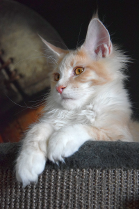 Monti_March (105).png