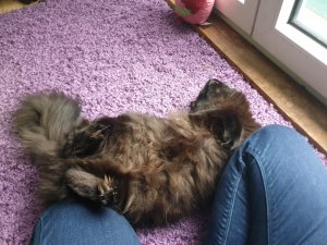 WhatsApp Image 2019-03-17 at 22.34.43.jpeg