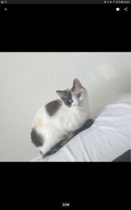 Screenshot_20190315-230346_eBay Kleinanzeigen.jpg