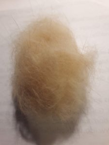 20180929_193100 (1).jpg