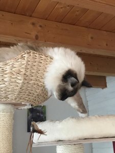 Giacomo hängt ab.jpg