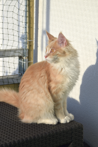 Balkon_Ap19 (36).png