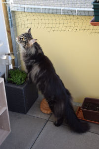 Balkon_Ap19 (58).png