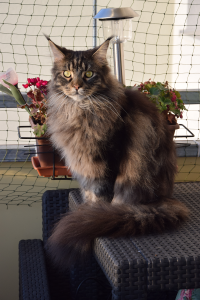 Balkon_Ap19 2(58).png