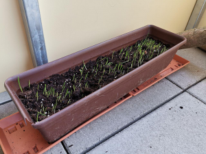 photo_2019-04-11_11-38-35 (2).png