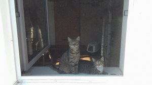 Leonie u pauline.jpg