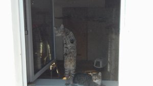 Leonie u pauline19.jpg