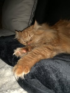 2019-03-03 23.18.28.jpg