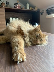 2019-03-13 10.06.51.jpg