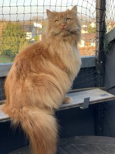 2019-03-19 07.29.43.jpg