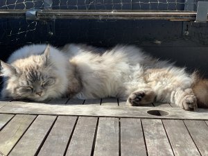 2019-03-20 10.49.10.jpg